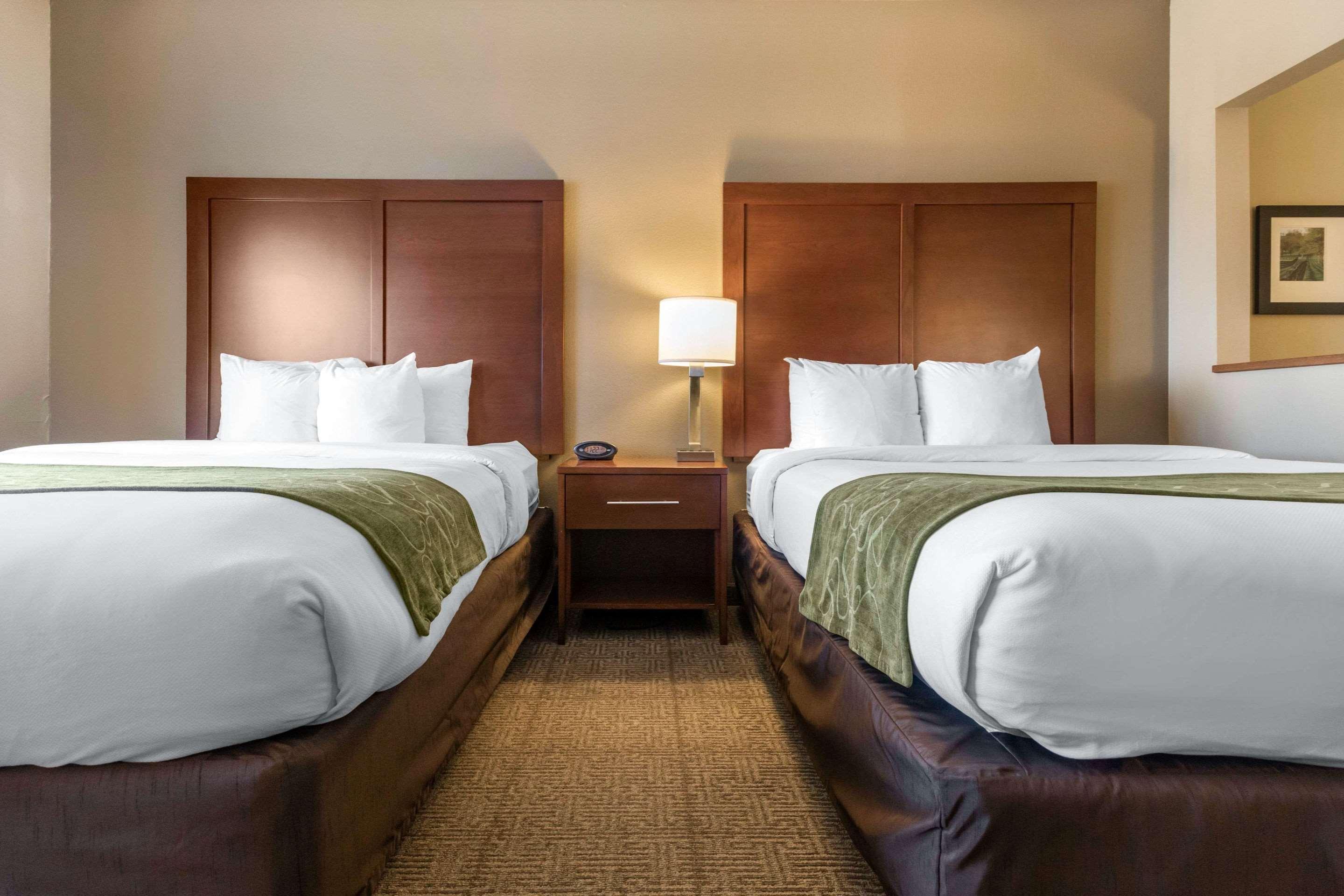 Comfort Suites Keeneland Lexington Luaran gambar