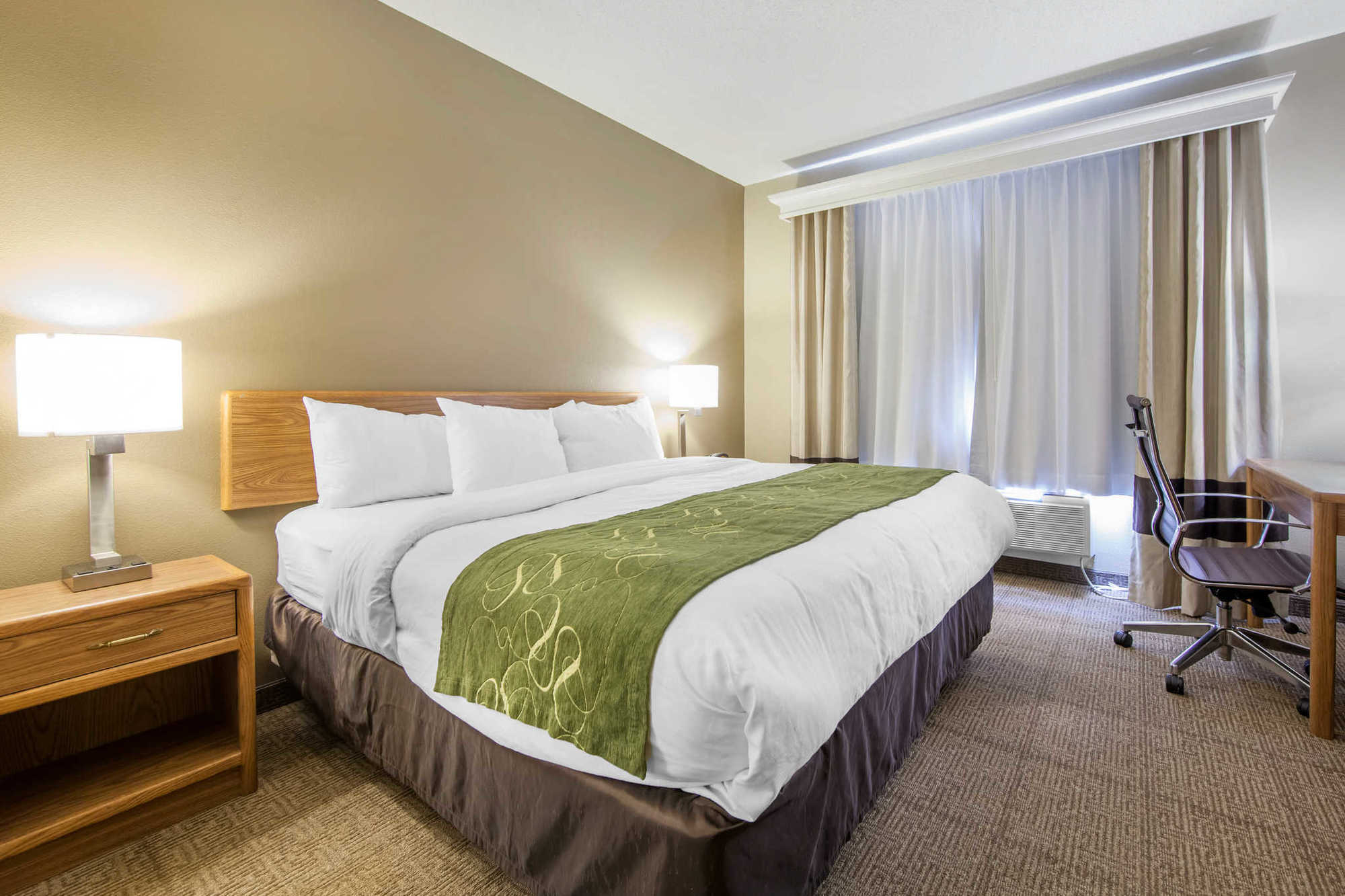 Comfort Suites Keeneland Lexington Bilik gambar